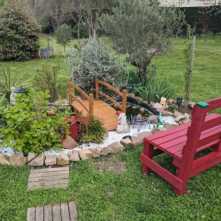 Chambre D'Hote Amitie Et Jardin Carmaux Eksteriør bilde